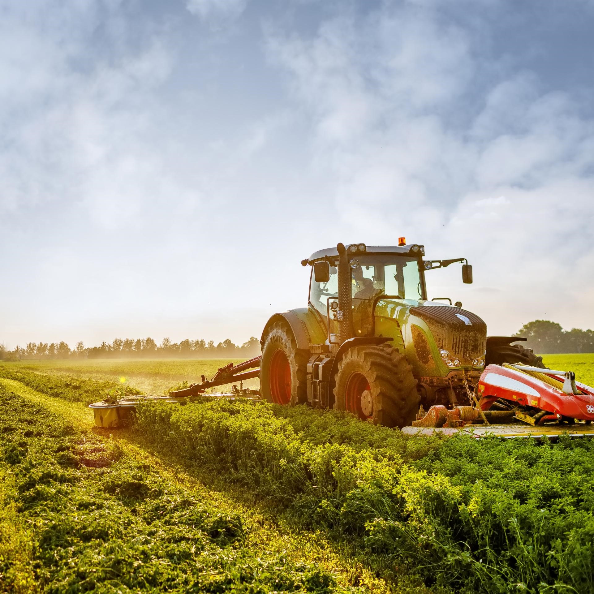 Agriculture Industry