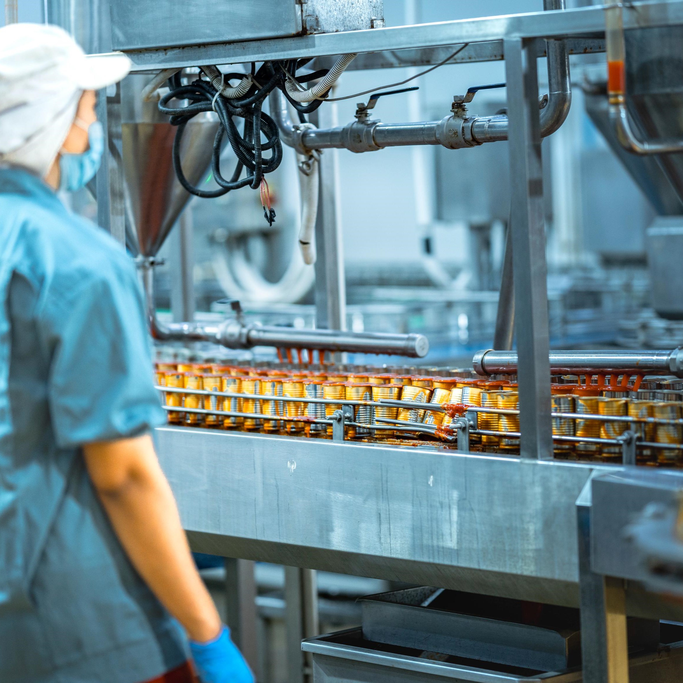 Food & Beverages Industry